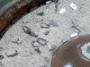 p1090398